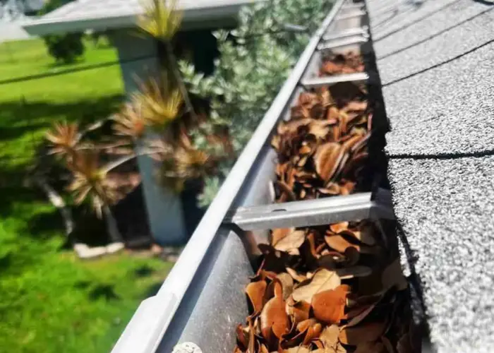 Colonial Village gutter cleaning home page